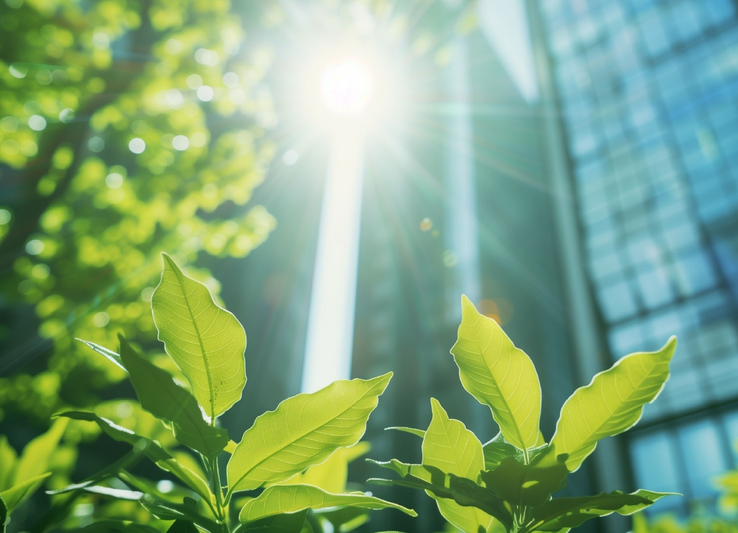 ممارسات المباني الخضراء