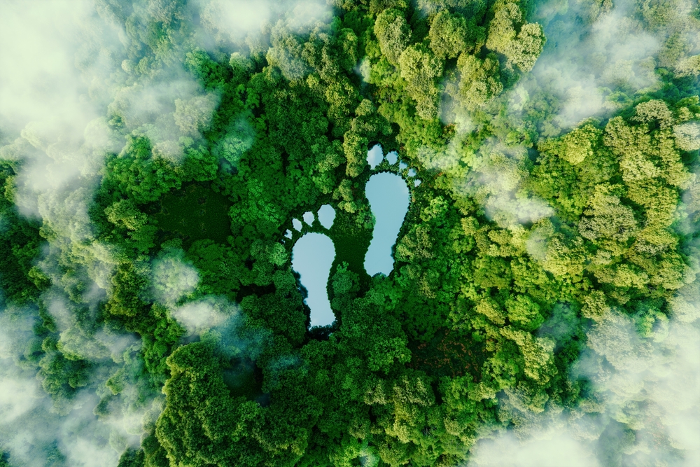 Carbon Footprint Reports